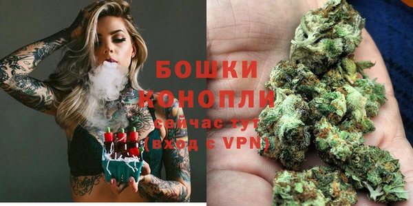 ALPHA PVP Белокуриха