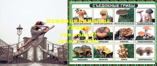 ALPHA PVP Белокуриха