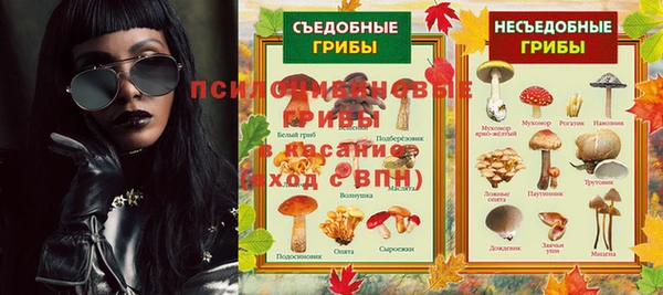 ALPHA PVP Белокуриха
