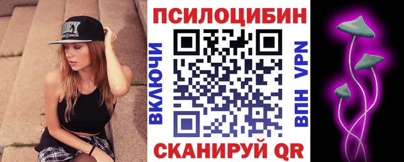 Галлюциногенные грибы Psilocybine cubensis  Городовиковск 