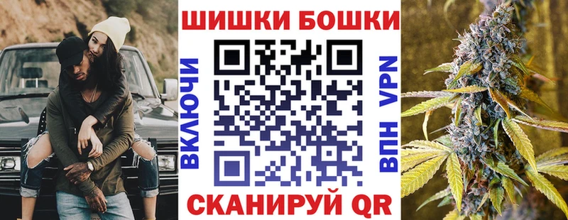 Марихуана сатива  Городовиковск 